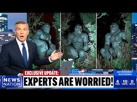 BIGFOOT CAUGHT On Trail Cam — What This Mechanic Filmed In Northern California SHOCKED Everyone