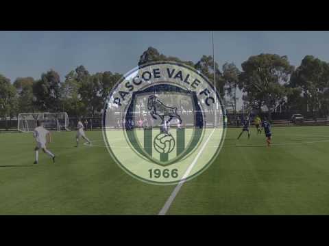 NPL U18s 2019 R12 - Ballarat City FC - PVFC 2-6 Highlights