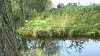 Mamas &amp; Papas - No Salt On Her Tail (0:30) + 1 Song with unknown Singer