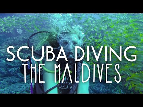 Scuba Diving in The Maldives