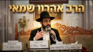 הרב אהרון שמאי האם נער בר מצווה נאמן לומר שהוא בן 13?