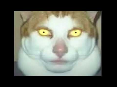 Roxal x Yukster - Burn (Astral remix) by Astral7