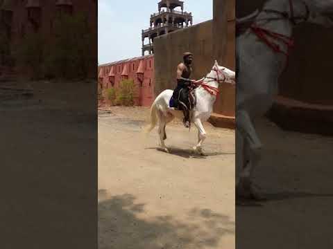 Horse riding 