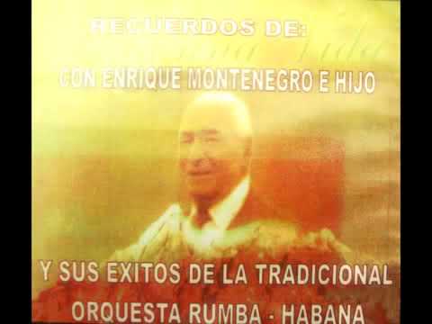 Enrique Montenegro   El chinchinal.wmv