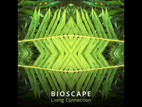 Bioscape - Explore The Night [Living Connection]