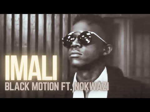 Black Motion - Imali feat. Nokwazi (Official Video)