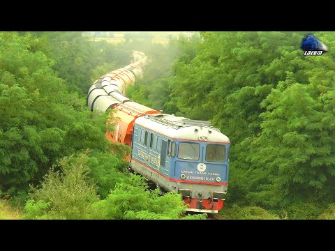 🚂🚆Locomotive Diesel Electrice/Diesel Electric Locomotives in Action in Biharia - 01 August 2021