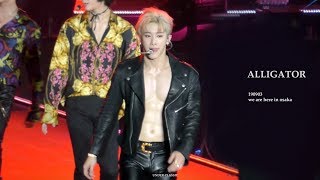 [4k]190903 we are here in osaka  alligator (wonho focus)