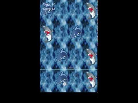 Don't Tap or Touch The Shark! Video