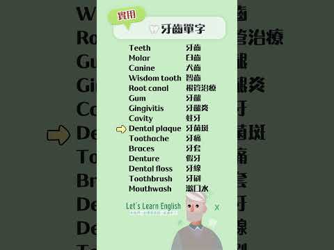 《牙齒單字》一起背更好記！#英語單字 #英語學習 #英語跟讀 #英文聽力 #英文单词