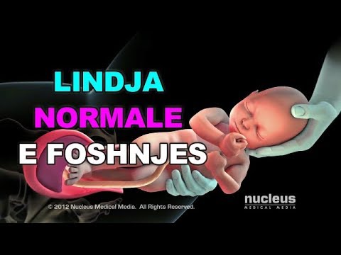 LINDJA NORMALE E FOSHNJES -Animacion 3D