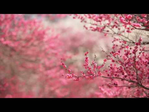 Kyohei Akagawa - Palette (Ver.3)