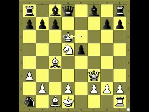 Nezamenljivi Fried Liver napad - STEINER vs NN  # 385