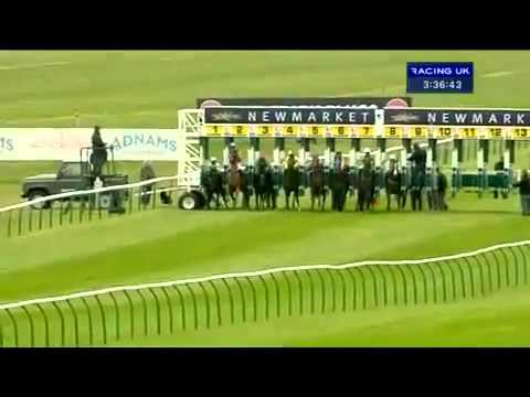 Hamza At Newmarket THURSDAY, 17 APRIL 2014