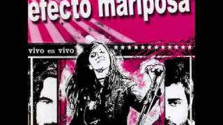 Entre flores   efecto mariposa