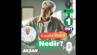 Kaudal Blokaj | 01 | Kaudal Blokaj Giriş
