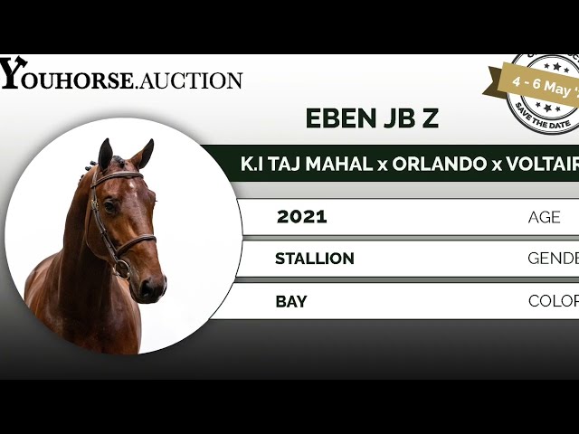 Eben under the saddle