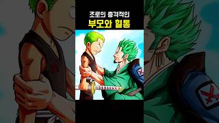 원피스 조로의 가족 관계도