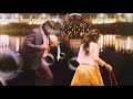 Kakakapo Love Proposal Scene HD