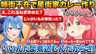 星街家でカレーを作るも雑すぎて2人からツッコまれるみこち+GW企画の振り返りと裏話【ホロライブ/さくらみこ/星街すいせい/鷹嶺ルイ】