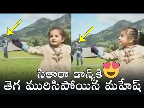 UNSEEN VIDEO : Mahesh Babu Daughter Sitara Cute Dance Video | Daily Culture