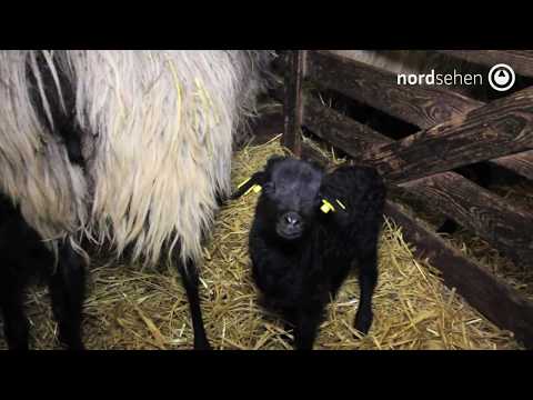 Tourismus Neuenkirchen Heidekreis