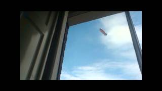 mogwai hound of winter/earth division