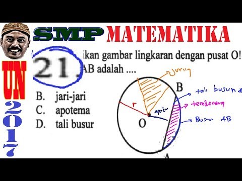Obat untuk pembesaran penis Ulasan tentang bola untuk potensi