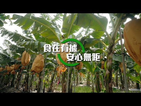 《食在有據 安心無距》從田間到餐桌的透明旅程｜產銷履歷完整揭密