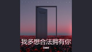Download lagu 我多想合法拥有你 mp3