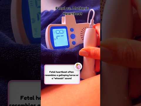 Fetal Vs Mother's Heartbeat: How to Difference the Two ❤️