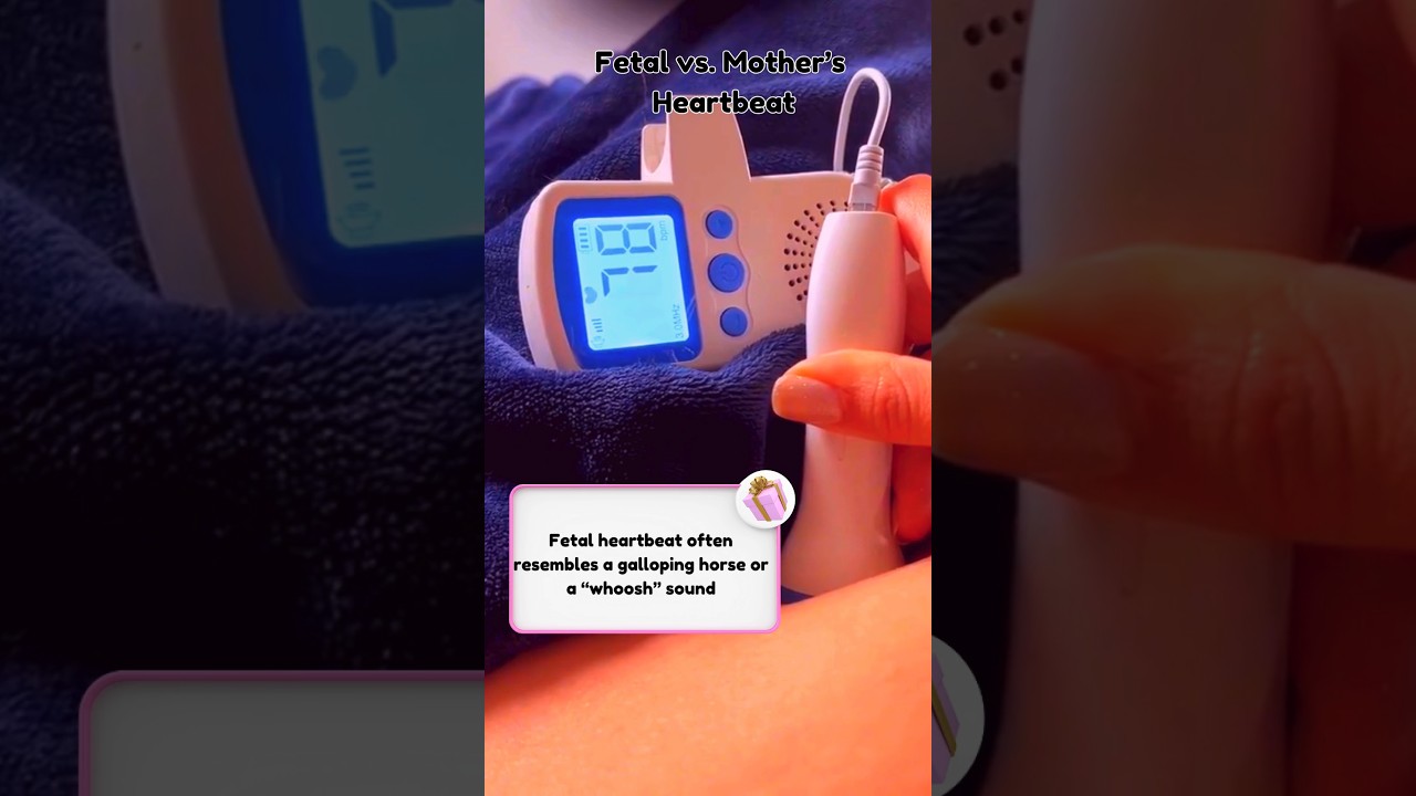 Fetal Vs Mother's Heartbeat: How to Difference the Two ❤️
