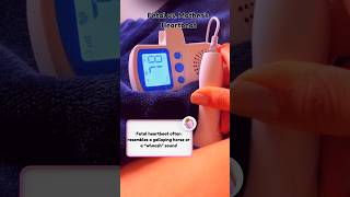 Fetal Vs Mother&#39;s Heartbeat: How to Difference the Two ❤️