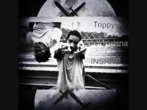 Trippyy x Smokinwana - Insane [Audio]