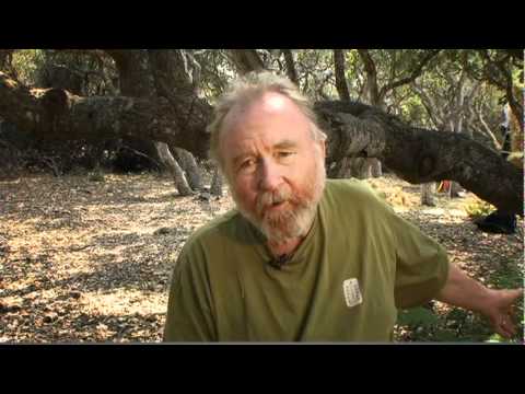 CASBA   Strawbale Workshop