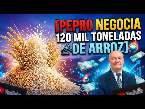 Leilão de Pepro negocia quase 120 mil toneladas de arroz em casca.
