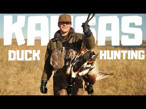 I Went DUCK HUNTING in KANSAS for the FIRST TIME | Duck and Goose Hunting 2025