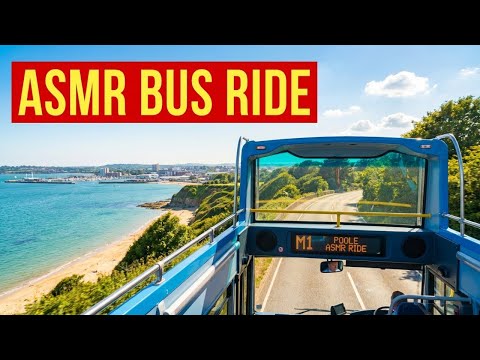 Bus Time M1