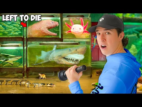 I Found an Abandoned Attic Full of Live Fish...