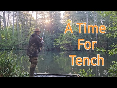 A Time For Tench