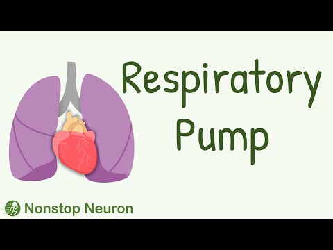 Respiratory Pump: How Breathing Increases Venous Return?