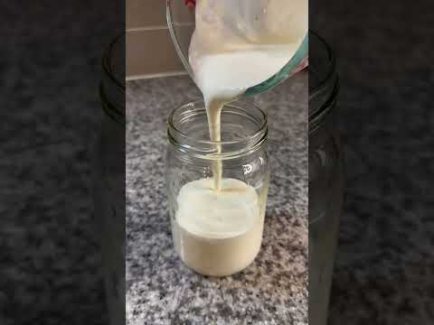 Perfect Homemade Sour Cream! 🤩 ( only 2 ingredients!! 😱)