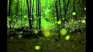 Throat Singing by The Gyuto Monks of Tibet • Pure Sounds • Mandala Offering-[Mp3Truck