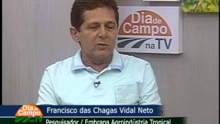Miniatura do vídeo