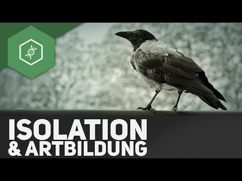 Isolation & Artbildung — Evolutionsfaktoren
