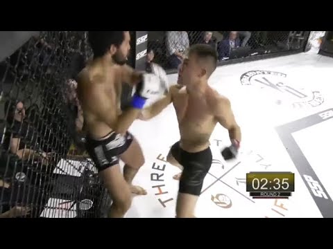 Best MMA finish EVER!