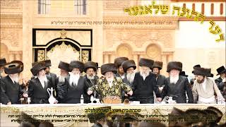 דער חתונה שלאגער - ניגון "ובכן צדיקים" מבית מודזיץ ששוררו בעת כניסת מרן אדמו"ר עט"ר שליט"א