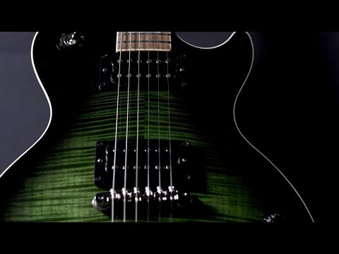 Gibson Slash Collection Les Paul Standard 2020 -Anaconda Burst image 19