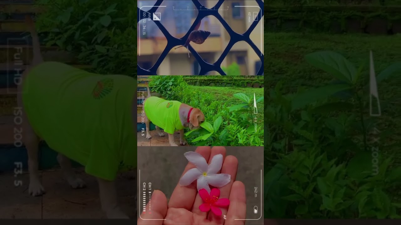 A rainy day. Art inspiration.