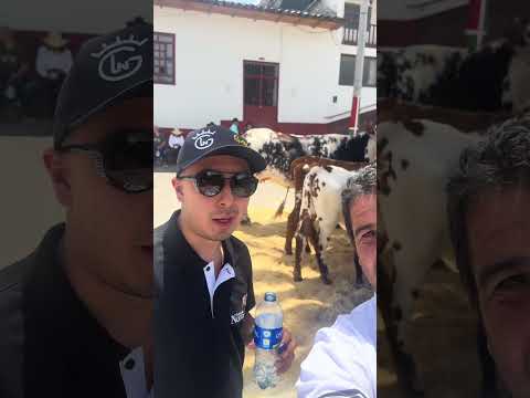 Ganadería Leon Núñez, Chiscas Boyacá.